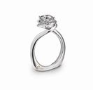 Pt international brand bridal press kit