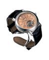 Audemars Piguet Platinum Watch