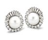 Platinum earrings by Mark Soley