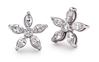 Platinum earrings by Eric N Smith