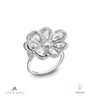 John Apel Fashion Ring