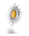 Spilla in platino Roberto Coin